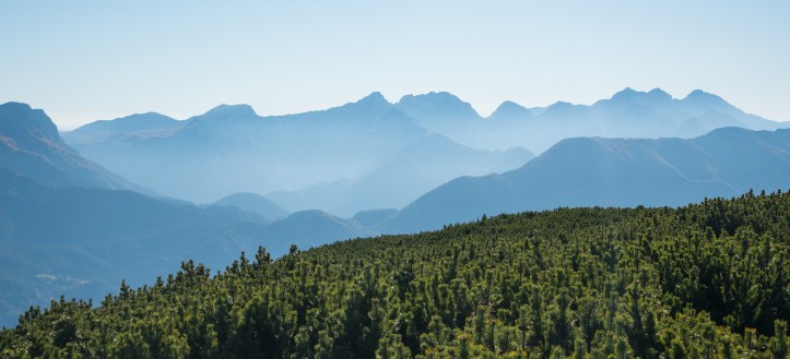 26238910169_5328b83188_k