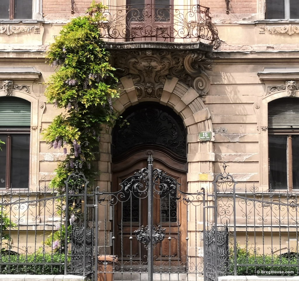 Wisteria grows next to mansion door in Ljubljana, Slovenia